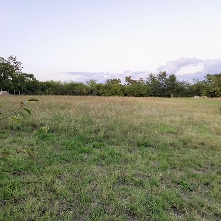 Apartament Bike&Night Baracska Zewnętrze zdjęcie